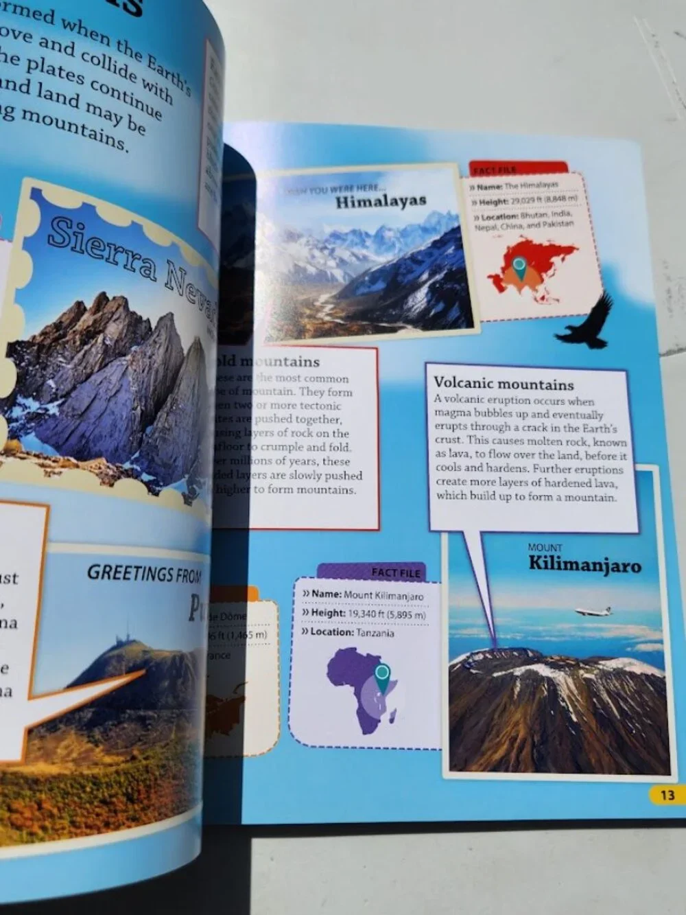 NEW DK Findout! Earth Life Sciences Book Science Paperback BookShark Science C S